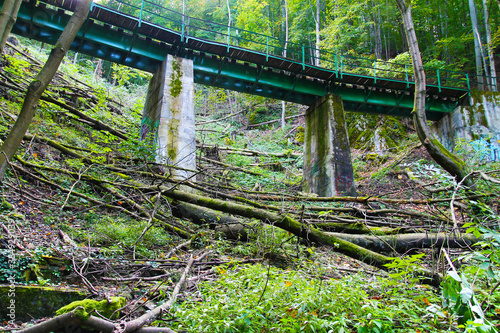 Quadro su tela Bridge of the forest train