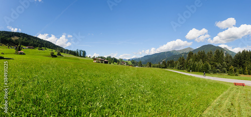 mountain meadow near nösslach am brenner, tirol, austria photo