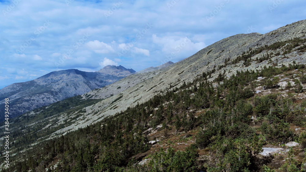 Landscape of scenic mountain forest background and peak of blue rock range.