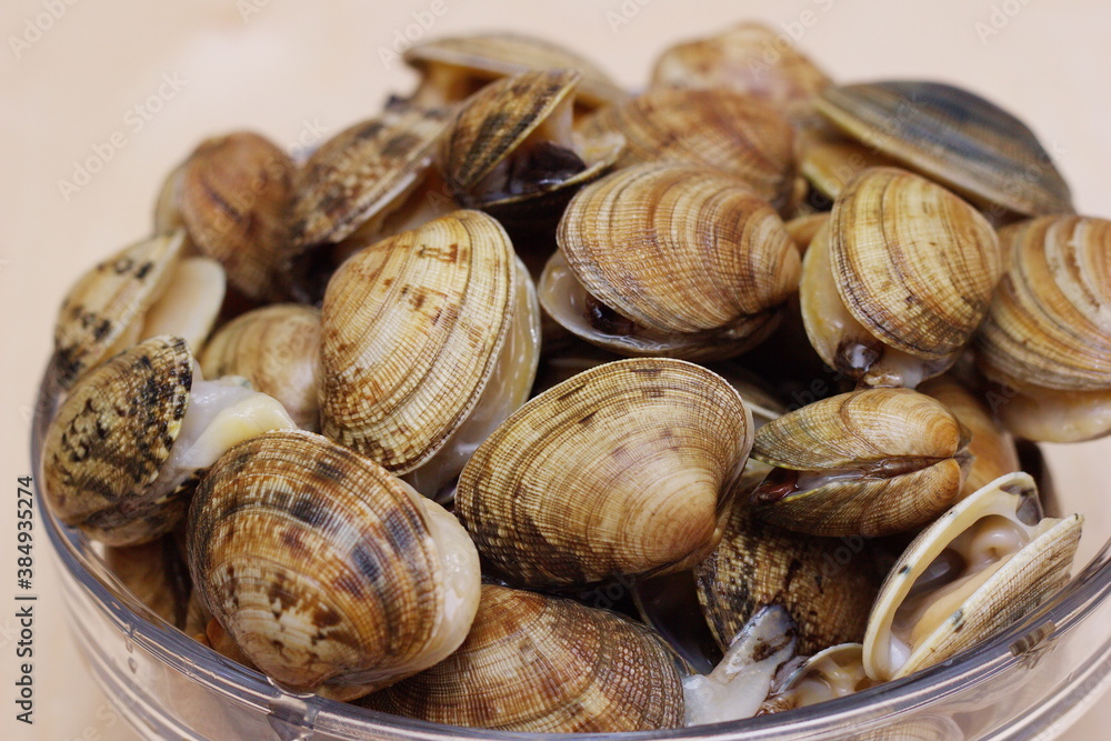 Vongole clams are ready for cooking. Fresh clams close-up Sea delicacy. Vongole clams are ready for cooking. Fresh clams close-up Sea delicacy.