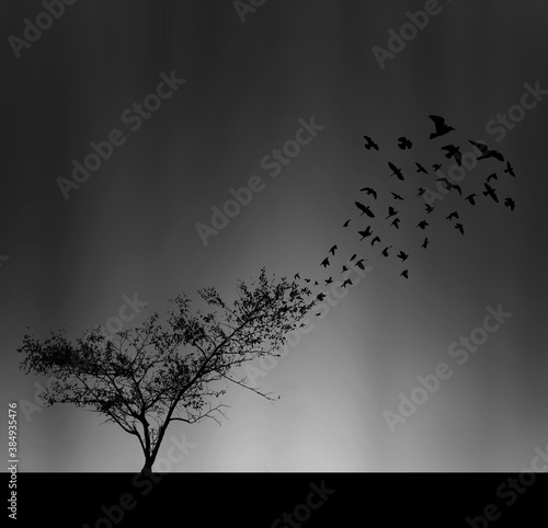 silhouette of a tree © Mushfiqur Masum