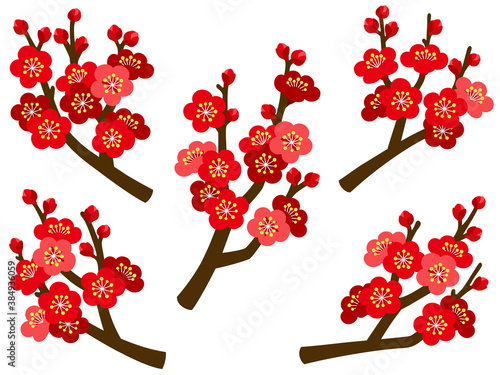 梅の枝のイラストセット
