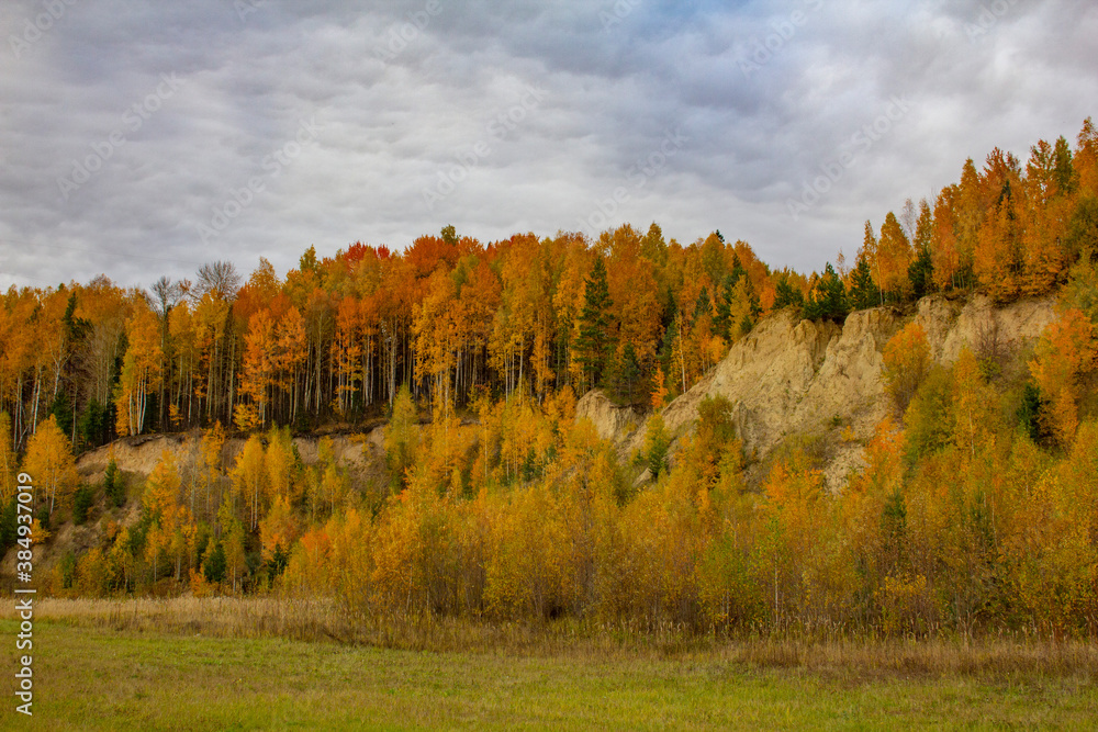 The tree-covered hills are golden. Autumn landscape in a hilly area