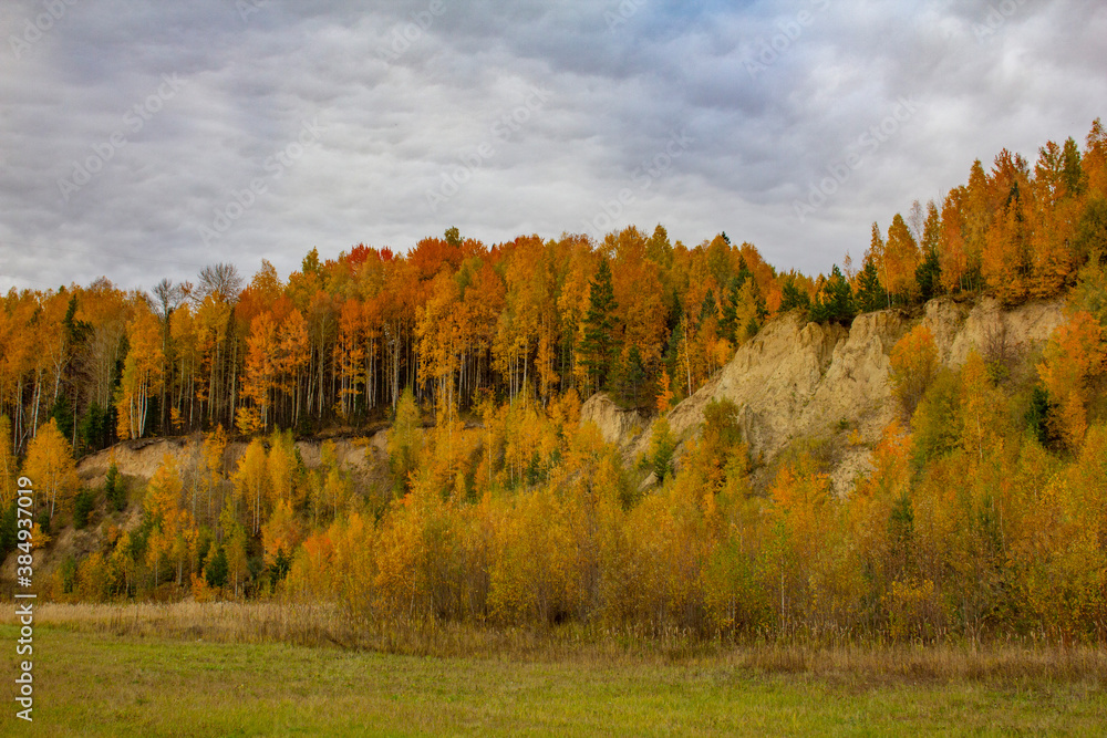 Fototapeta premium The tree-covered hills are golden. Autumn landscape in a hilly area