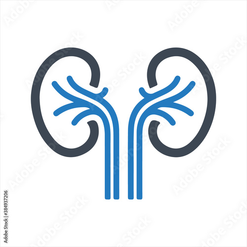 Nephrology icon
