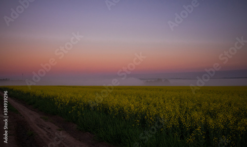 sunset over the field