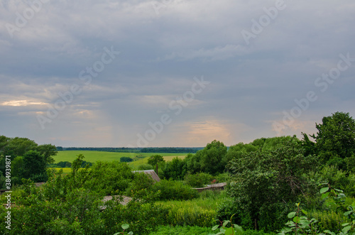 landscape with trees and clouds