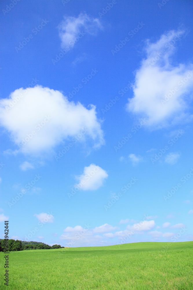 草原の空と雲