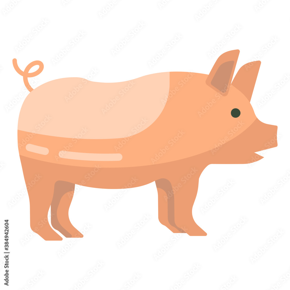 Fototapeta premium Pig 