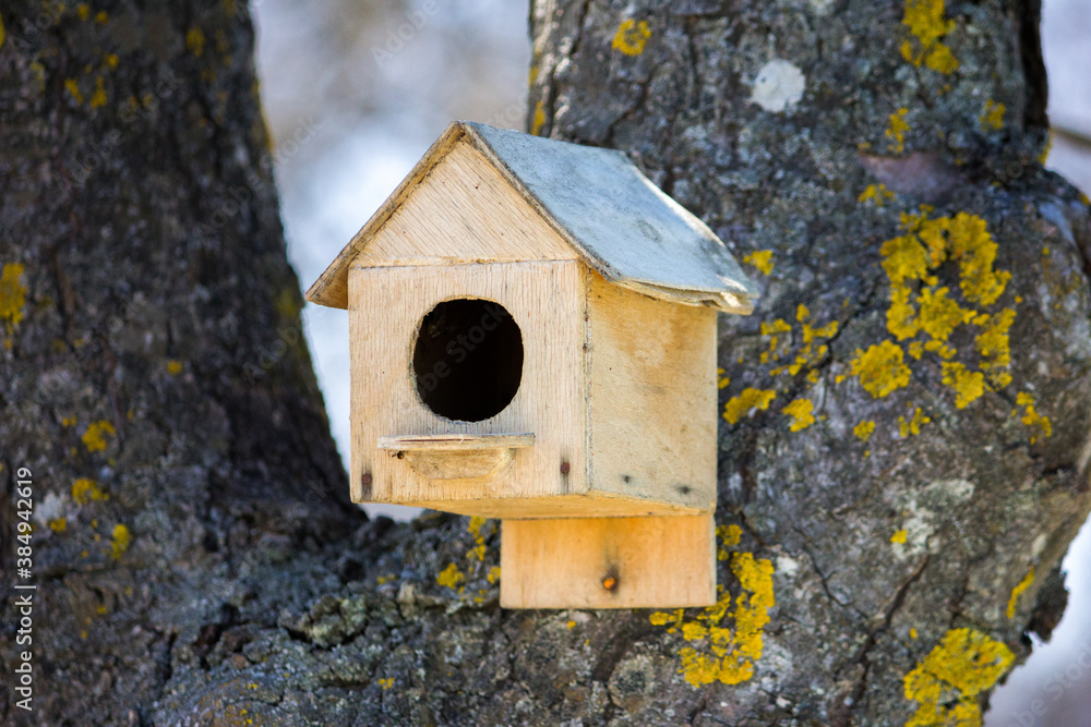 Handmade wooden birdhouse hangs on a tree. House for birds. Feeding.