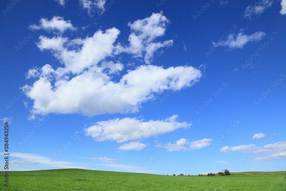 草原の空と雲