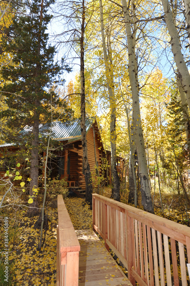Idyllic vertical fall scene with a cabin in the woods with fall colors, and a small wooden bridge Idyllic vertical fall scene with a cabin in the woods with fall colors, and a small wooden bridge