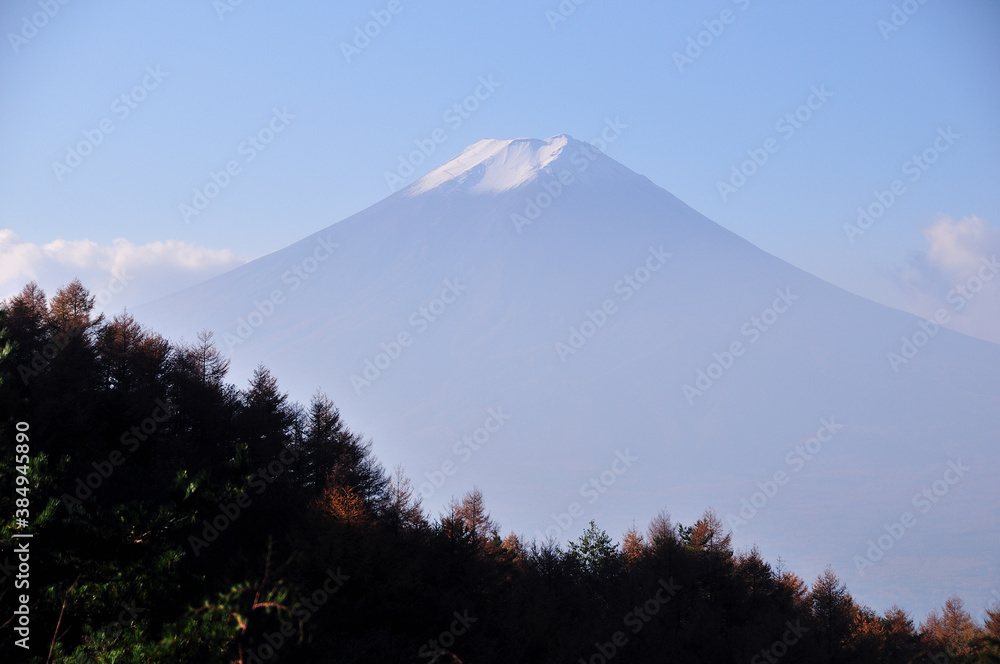 Fototapeta premium 富士山