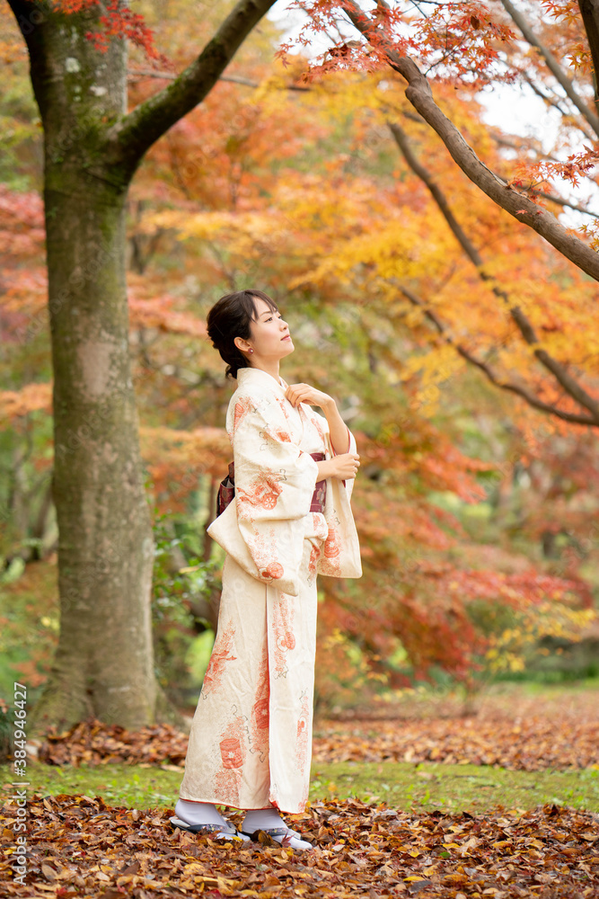 美しい日本女性