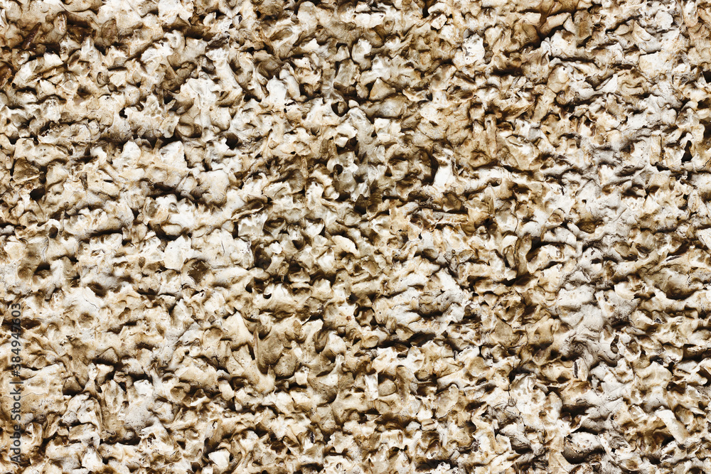 Stucco wall texture. Brown concrete surface background. Warm color plaster wall pattern. Artistic decorative technique. Stucco wall texture. Brown concrete surface background. Warm color plaster wall pattern. Artistic decorative technique.
