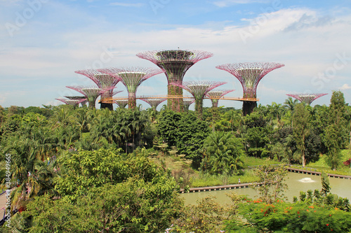 gardens by the bay in singapore 