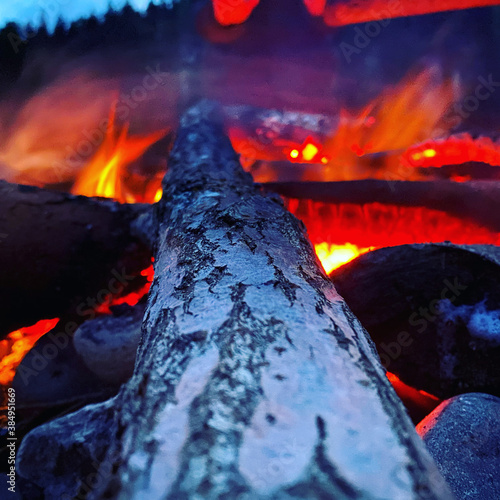 fire in the forest Костёр на природе 
