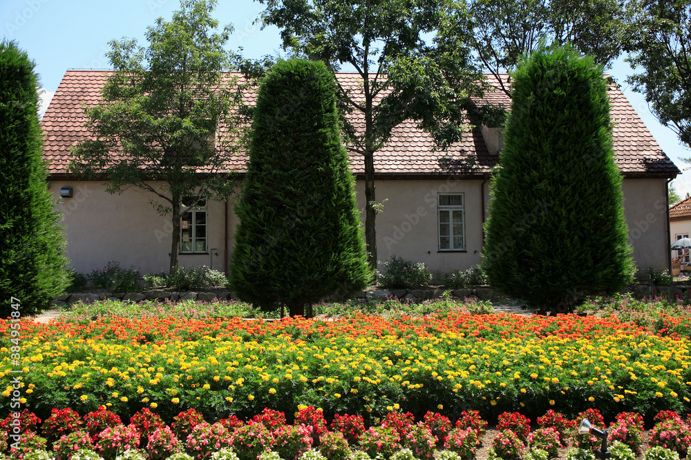 Obraz premium ブルーメの丘