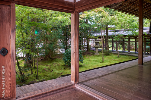 The view from the terrace to tradition japanese garden in the autumn foliage. Kyoto. Japan