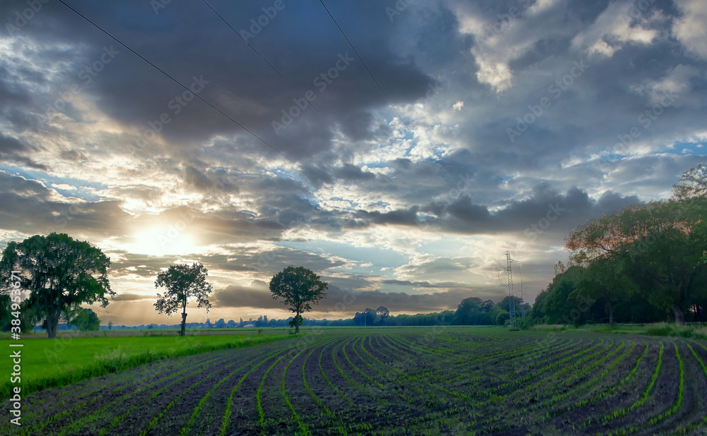 Fototapeta premium Clouds in the sky over a green field. High quality photo