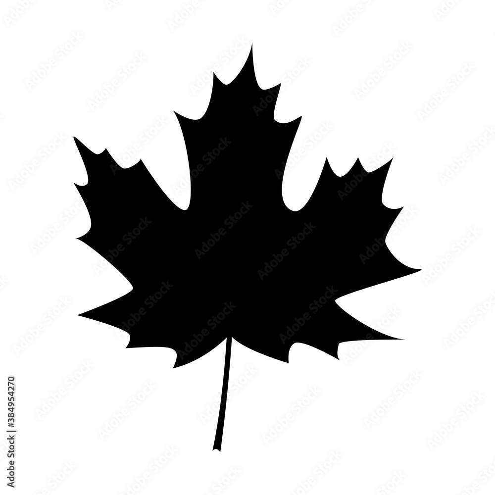 Maple leave icon vector design. Fall icons vector Maple leave icon vector design. Fall icons vector
