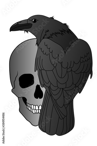 A black raven sits on a grinning human skull. Occultism, ritual, black magic and witchcraft. Vector