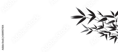 Hand drawn bamboo branches for your website.