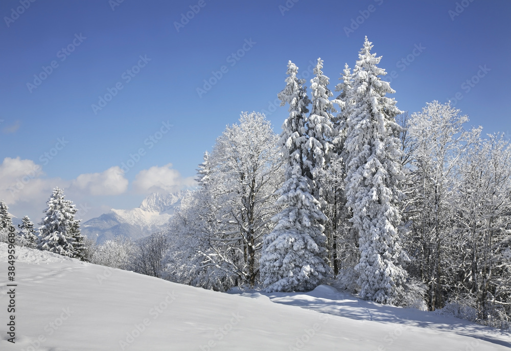 Eckbauer mountain near Garmisch-Partenkirchen. Germany Eckbauer mountain near Garmisch-Partenkirchen. Germany