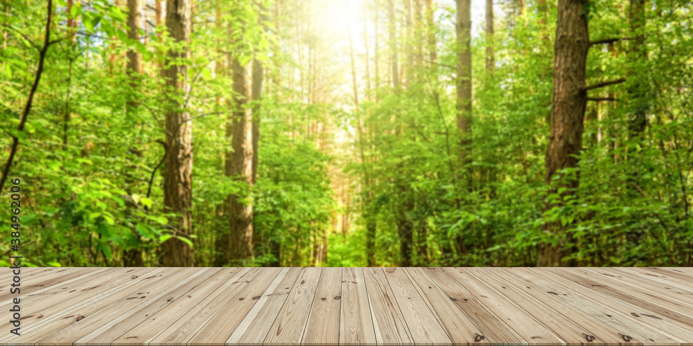 wooden table with a view of blurred forest backdrop wooden table with a view of blurred forest backdrop