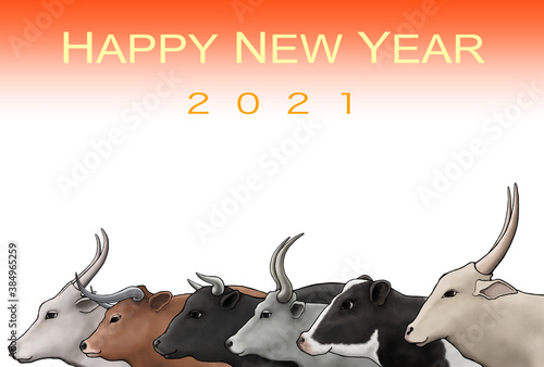 2021年 年賀状 丑年 牛の群れ