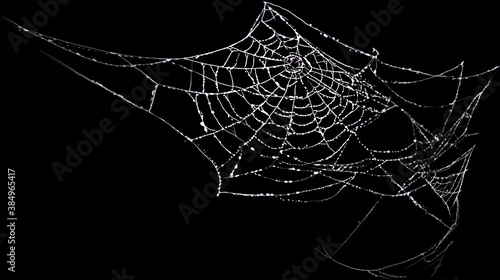 Spider web with dew drops on a black background. Halloween, decoration and horror concept.