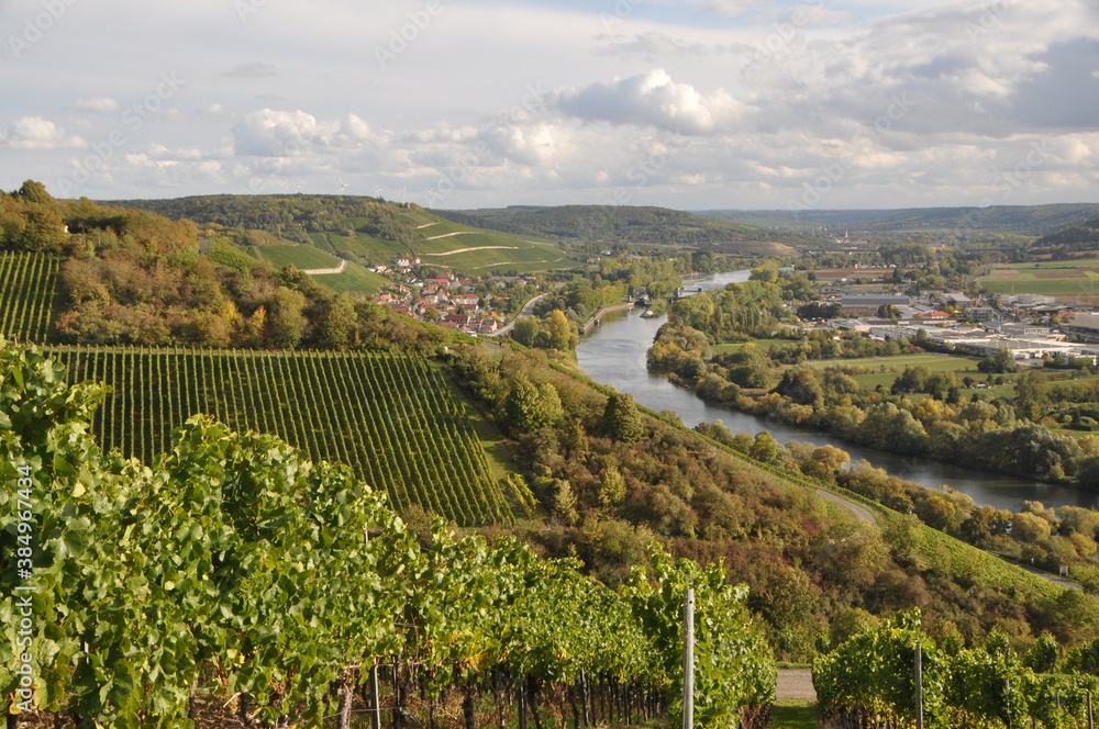 view over the river Main and the lock from the vineyards above Randersacker on an autumn sunny day, Franconia, Bavaria, Germany