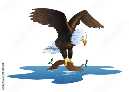 Águila calva