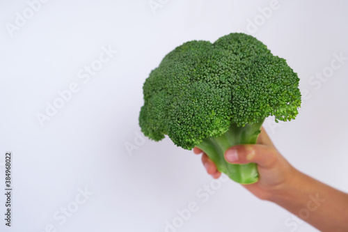Creative mock-up of broccoli in hand. Food concept. Vegetables isolated on a white background. 