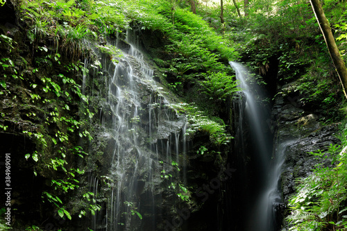 蜻蛉の滝 【奈良県川上村】 photo