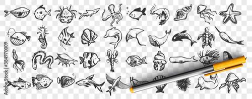 Marine life doodle set. Collection of hand drawn templates sketches patterns of different sea and ocean fish sharks turtles octopus oyster. Animals in wildlife enviroment nature illustration.