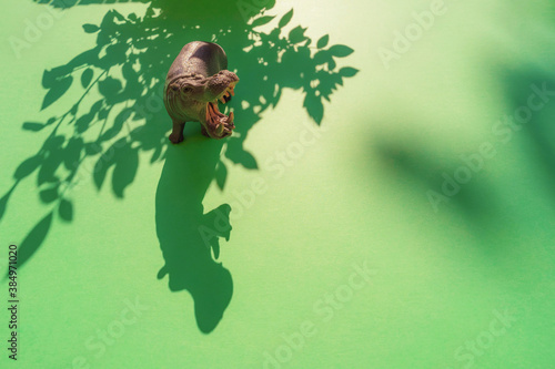 Flusspferd im Schatten unter den Pflanzen.