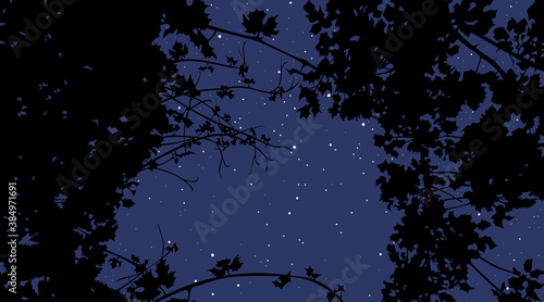 view of the night starry sky through plants