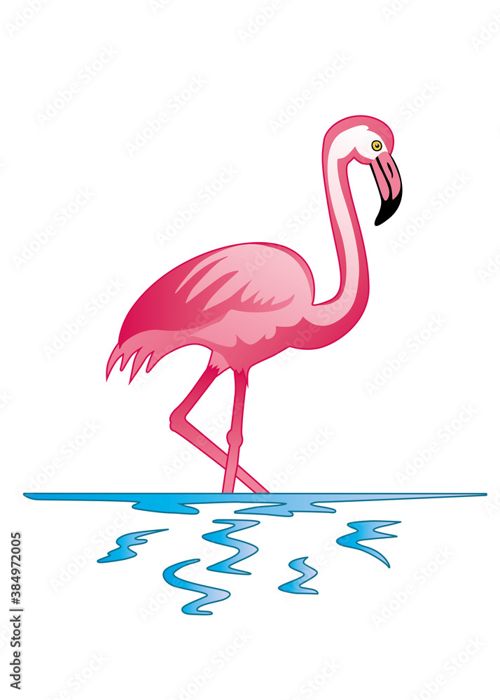 flamenco lago