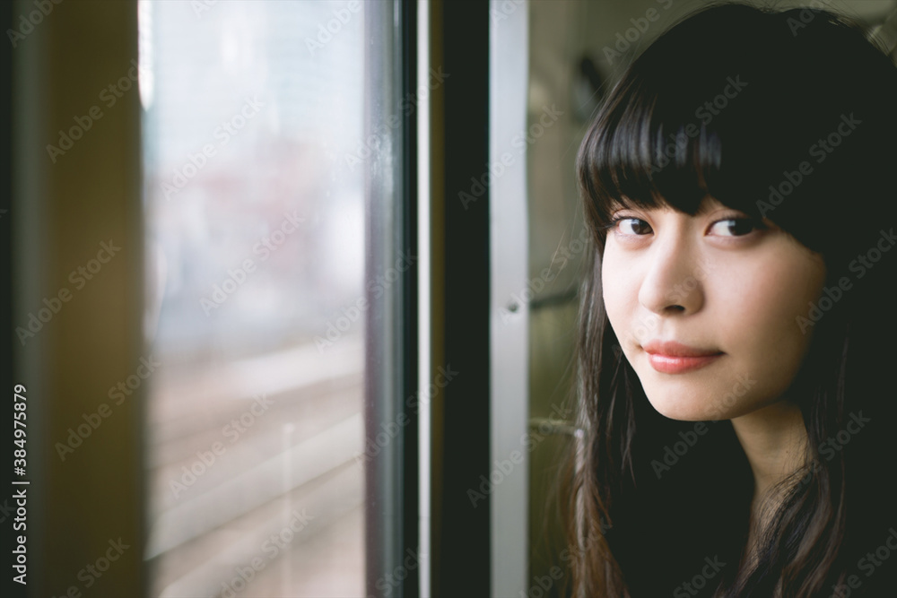 電車の中の女性 電車の中の女性