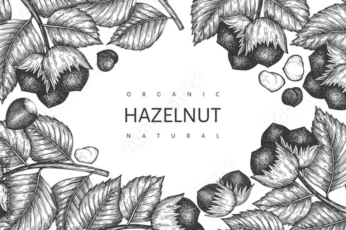 Hand drawn sketch hazelnut design template. Organic food vector illustration on white background. Vintage nut illustration. Engraved style botanical background.