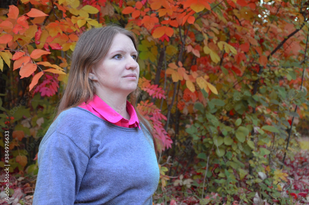 Beautiful elegant woman sits in a park in autumn yellow and red foliage, fall in jeans and a sweater Beautiful elegant woman sits in a park in autumn yellow and red foliage, fall in jeans and a sweater