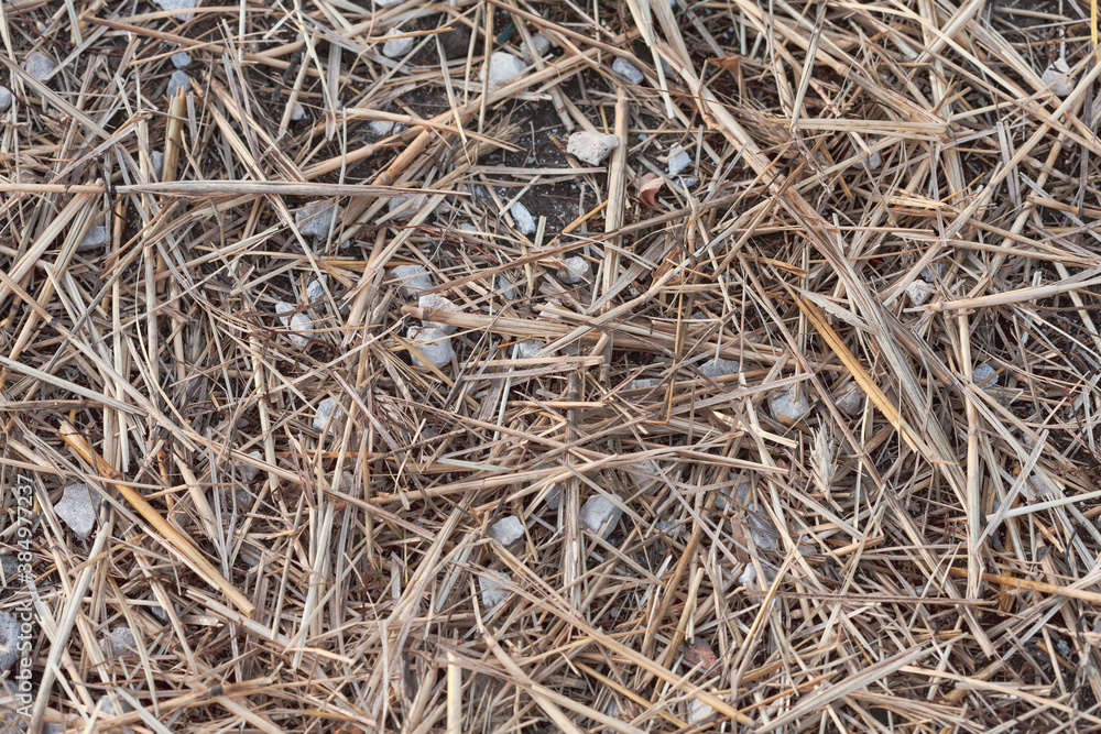 Small straw with pebbles on the ground. Macro.