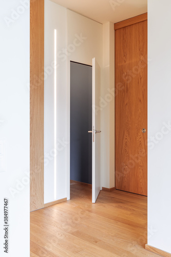 Corridor detail with door and led strip. Minimal apartment