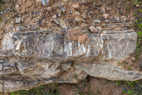 Quartz veins in a rock photo