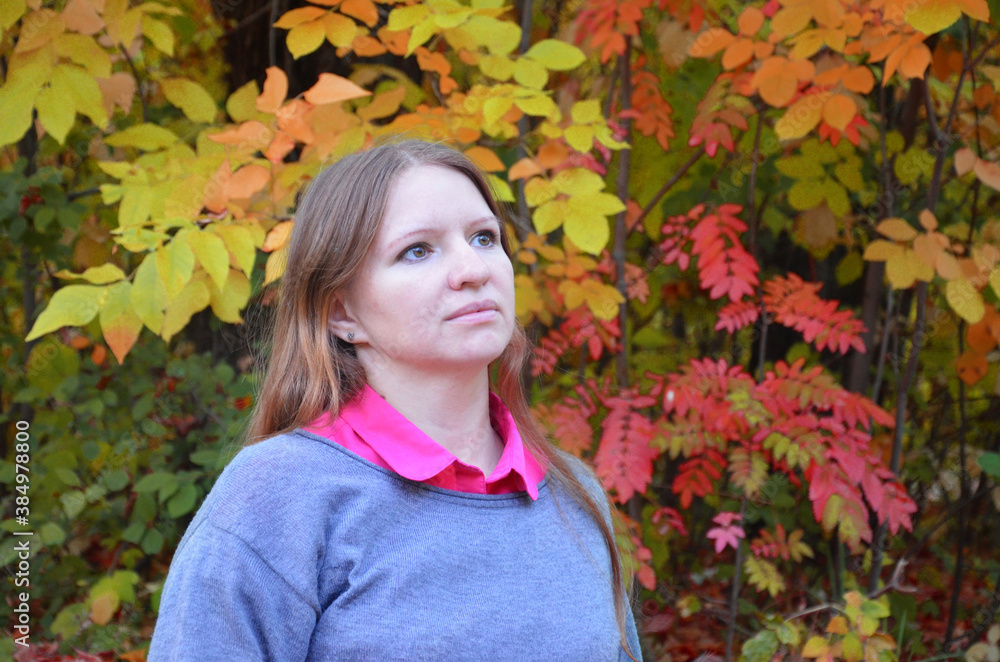 Beautiful elegant woman sits in a park in autumn yellow and red foliage, fall in jeans and a sweater Beautiful elegant woman sits in a park in autumn yellow and red foliage, fall in jeans and a sweater