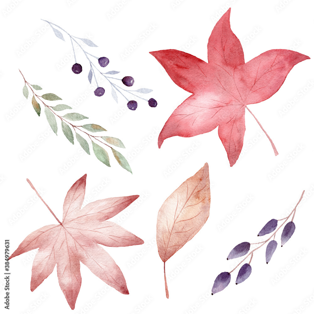 Watercolor collection of autumn leaves isolated on white background. Fall clipart.
