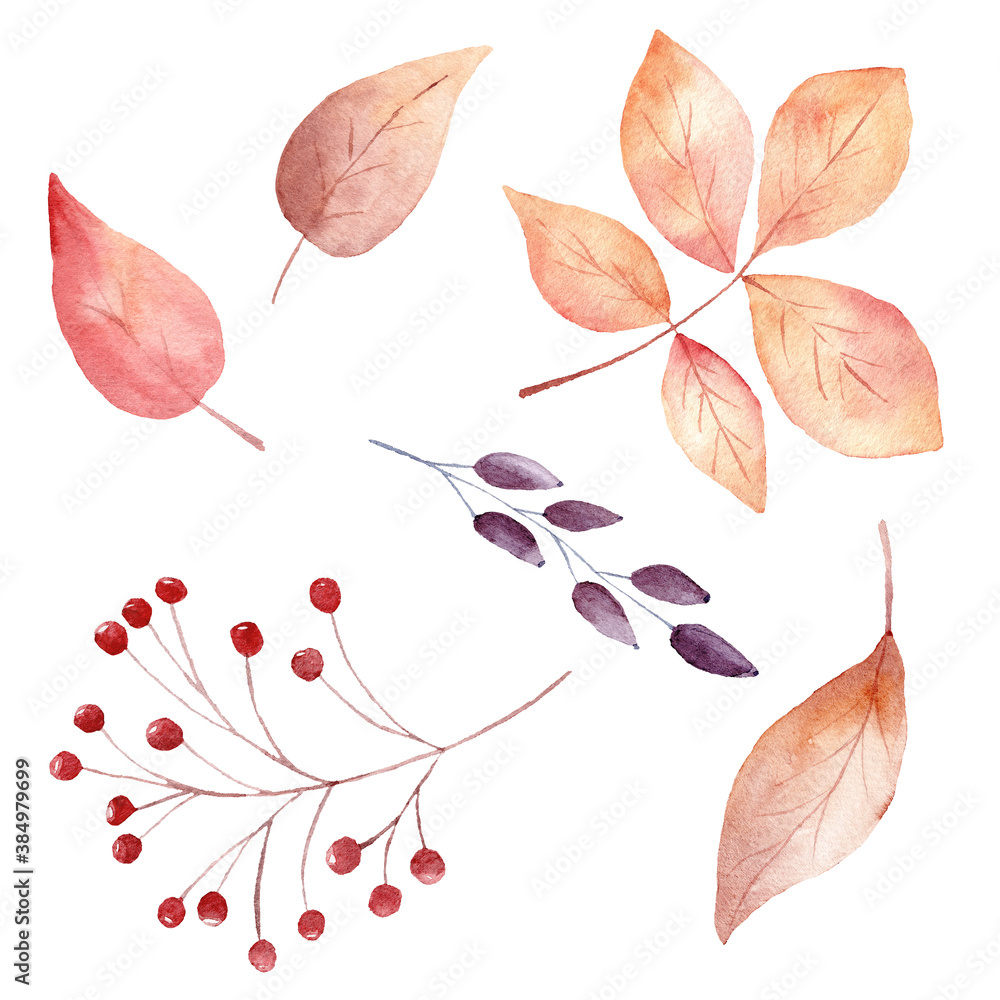 Watercolor fall leaves and berries isolated on white background. Autumn clipart for invitations.