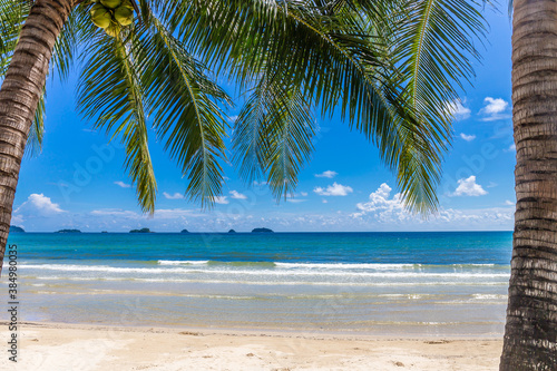 Fototapeta Naklejka Na Ścianę i Meble -  A beautiful beach with coconut trees in front of the sea and sky in the background at Koh Chang, Thailand. Copy space background