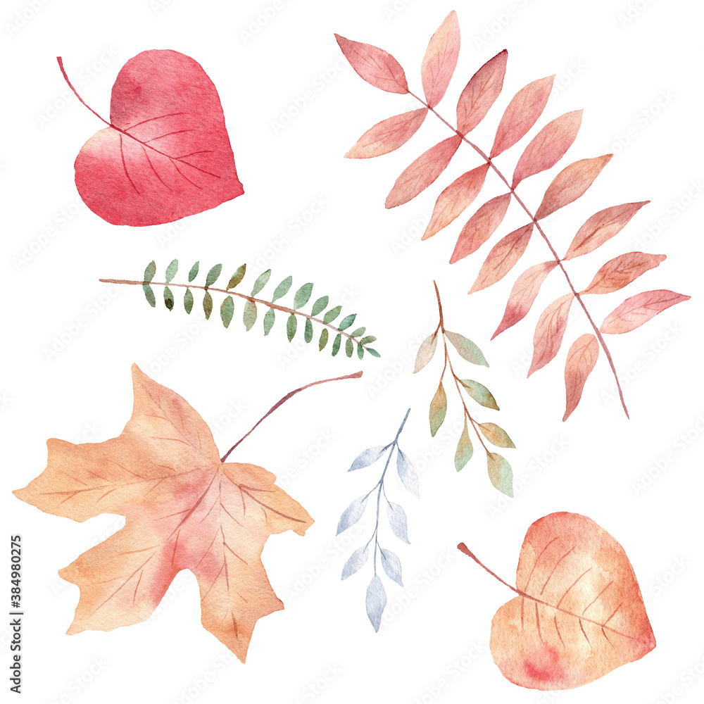 Watercolor set of orange and greenery leaves clipart. Fall illustration. Hand painted graphics.